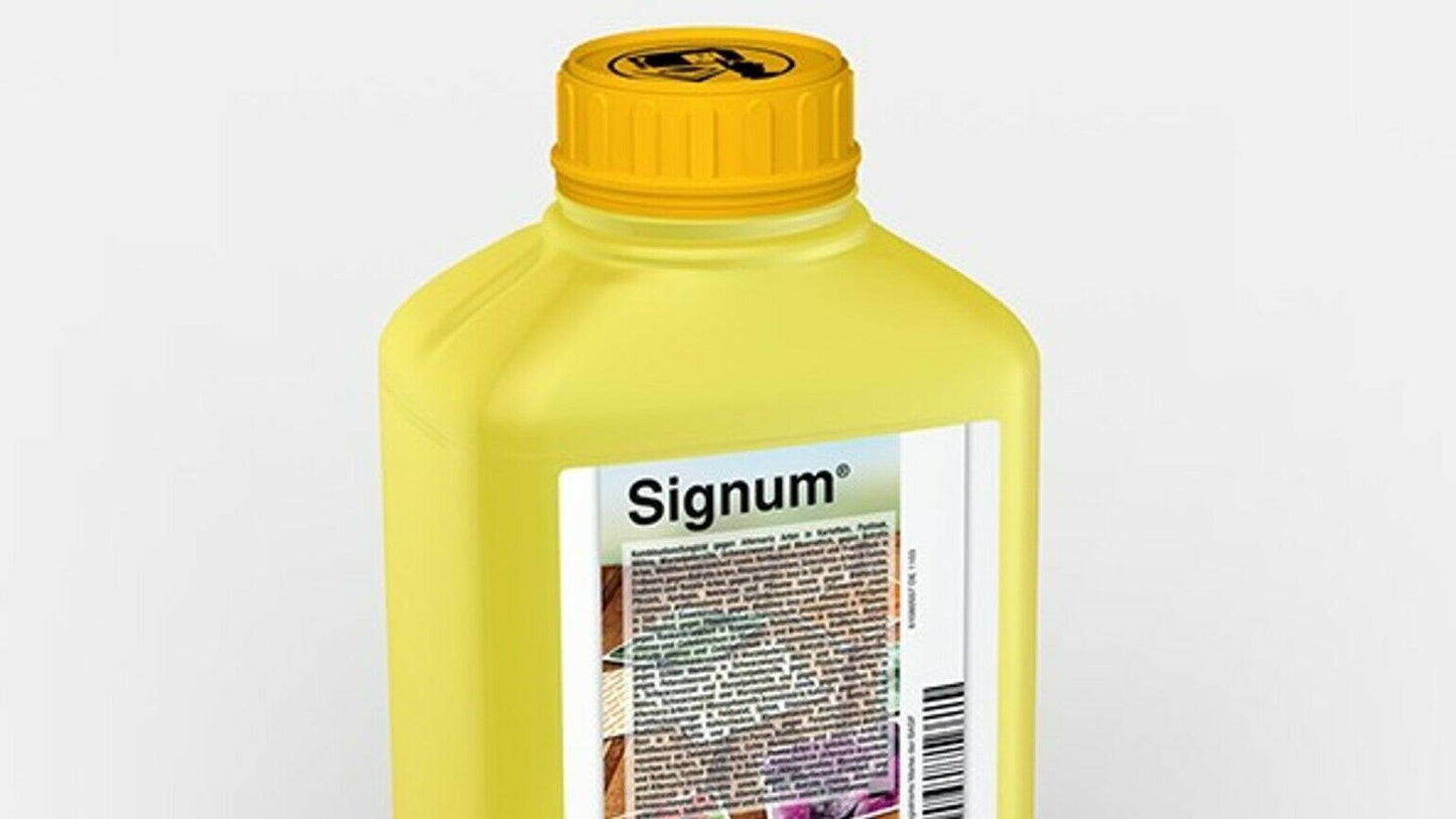 SIGNUM KG.1
