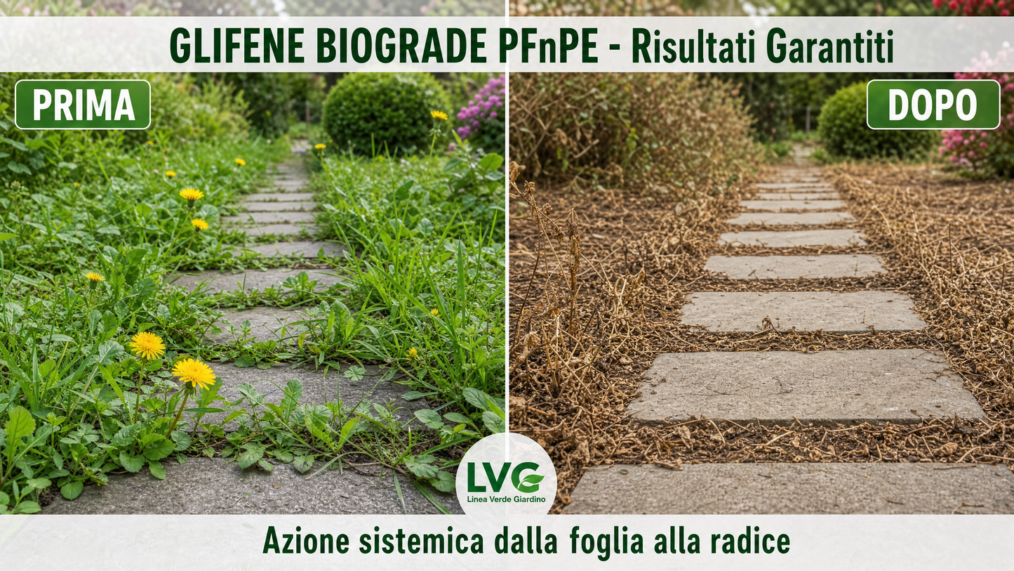 LVG Diserbante- GLIFENE BIOGRADE® PFnPE