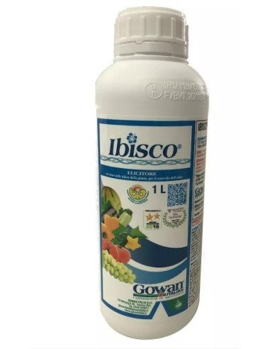 IBISCO LT.1